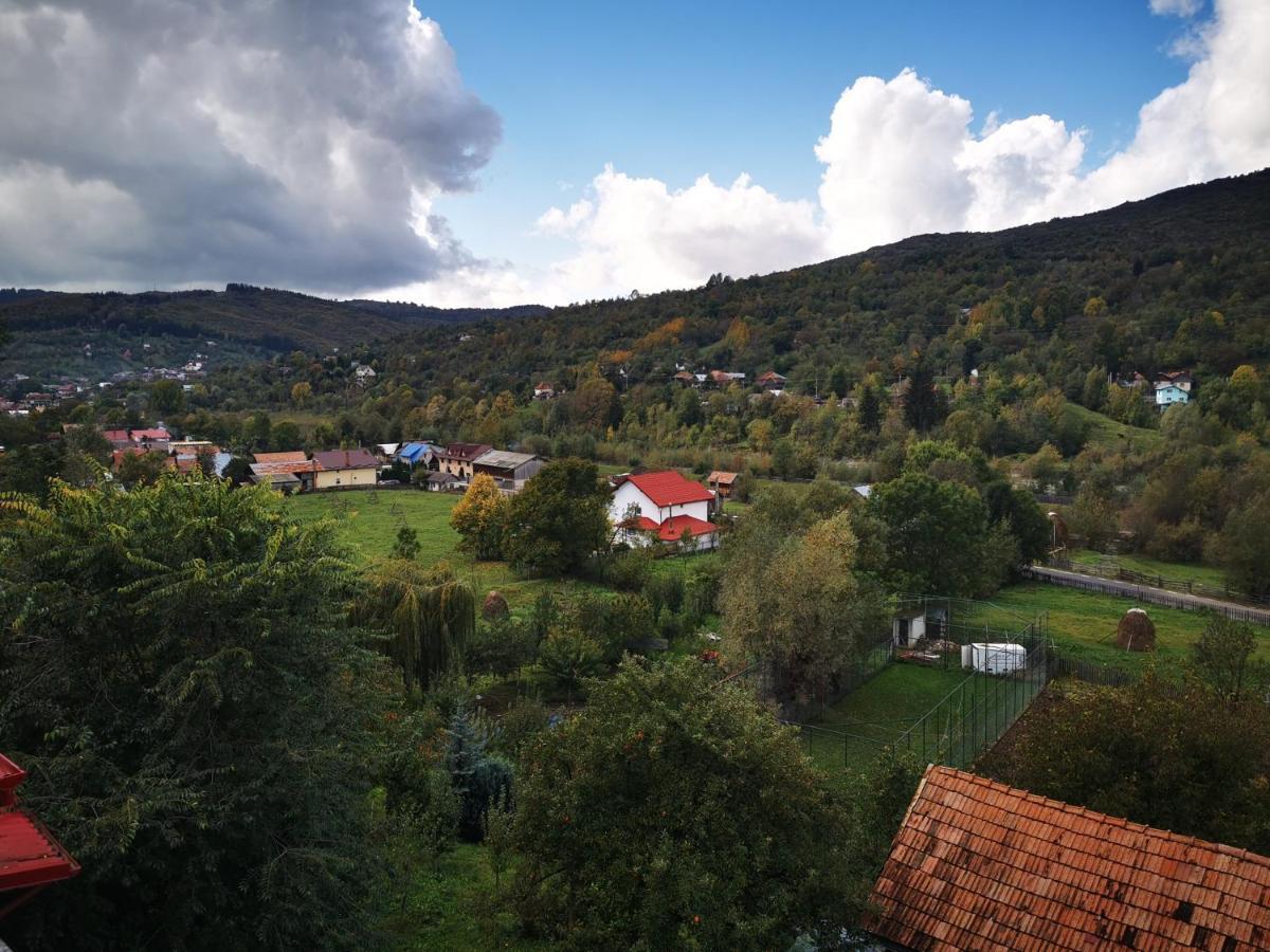 Doftana Apartaments Teşila Buitenkant foto