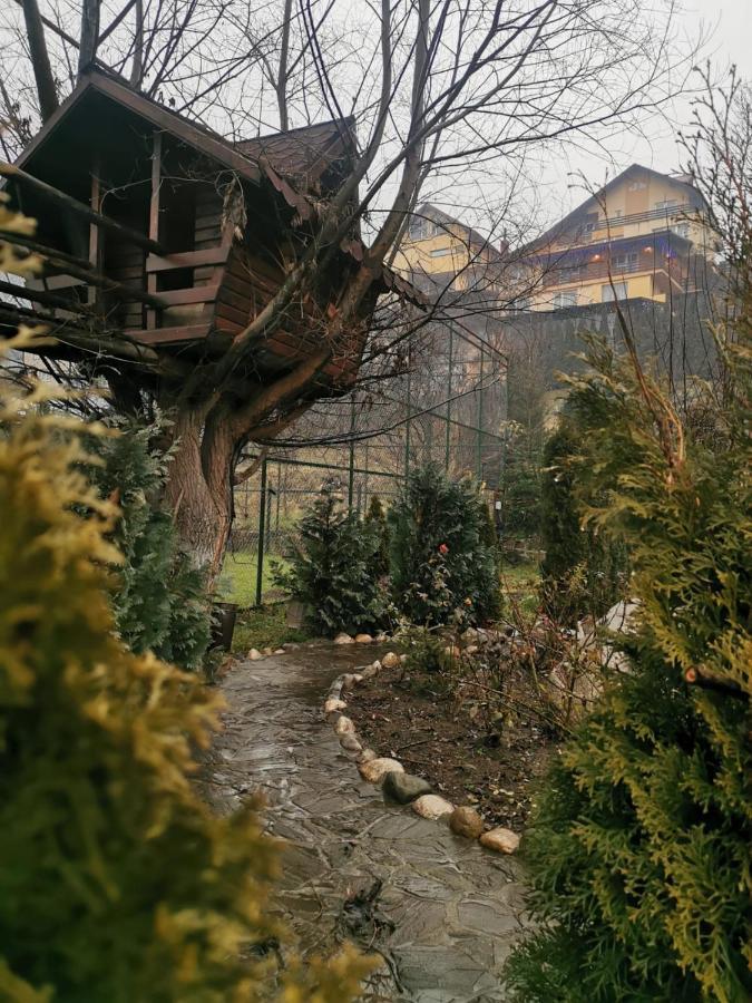 Doftana Apartaments Teşila Buitenkant foto