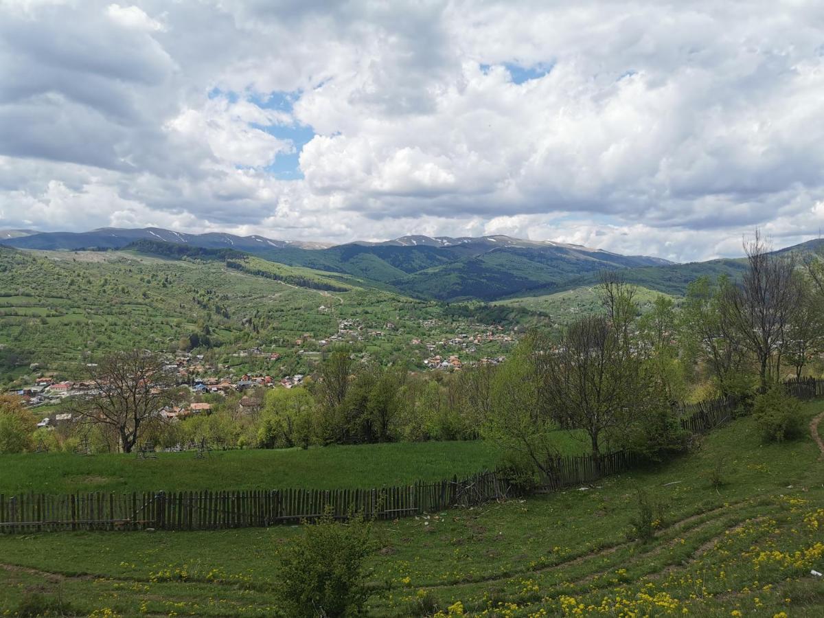 Doftana Apartaments Teşila Buitenkant foto