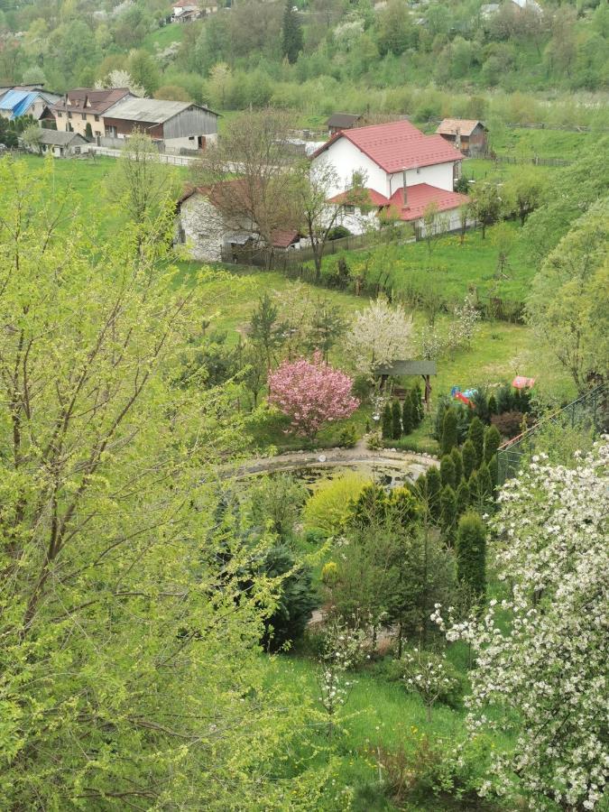 Doftana Apartaments Teşila Buitenkant foto