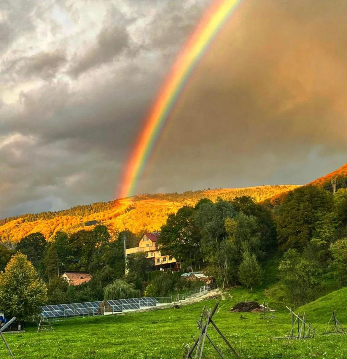 Doftana Apartaments Teşila Buitenkant foto
