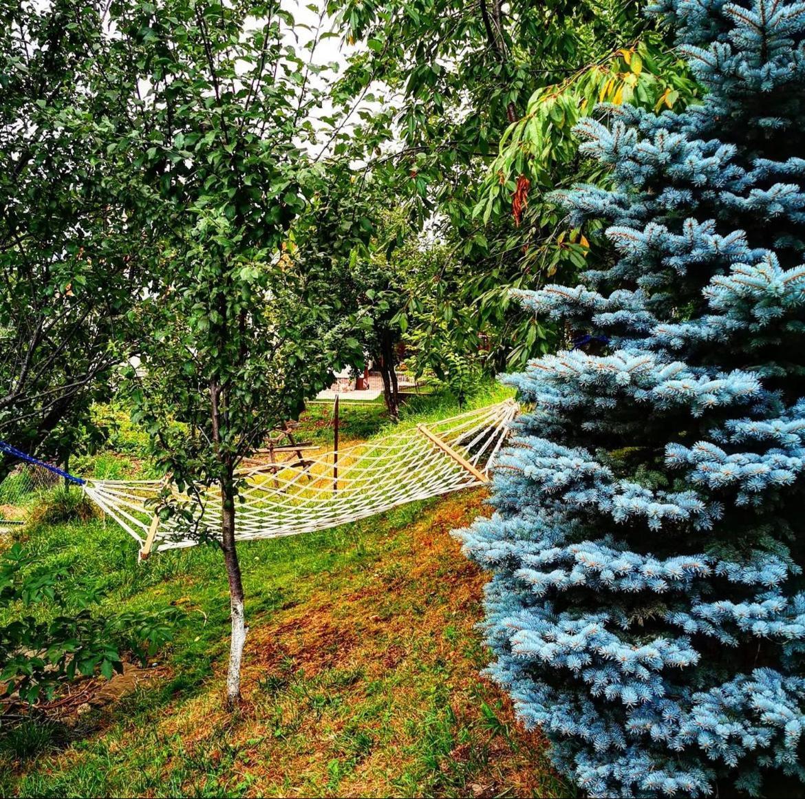 Doftana Apartaments Teşila Buitenkant foto