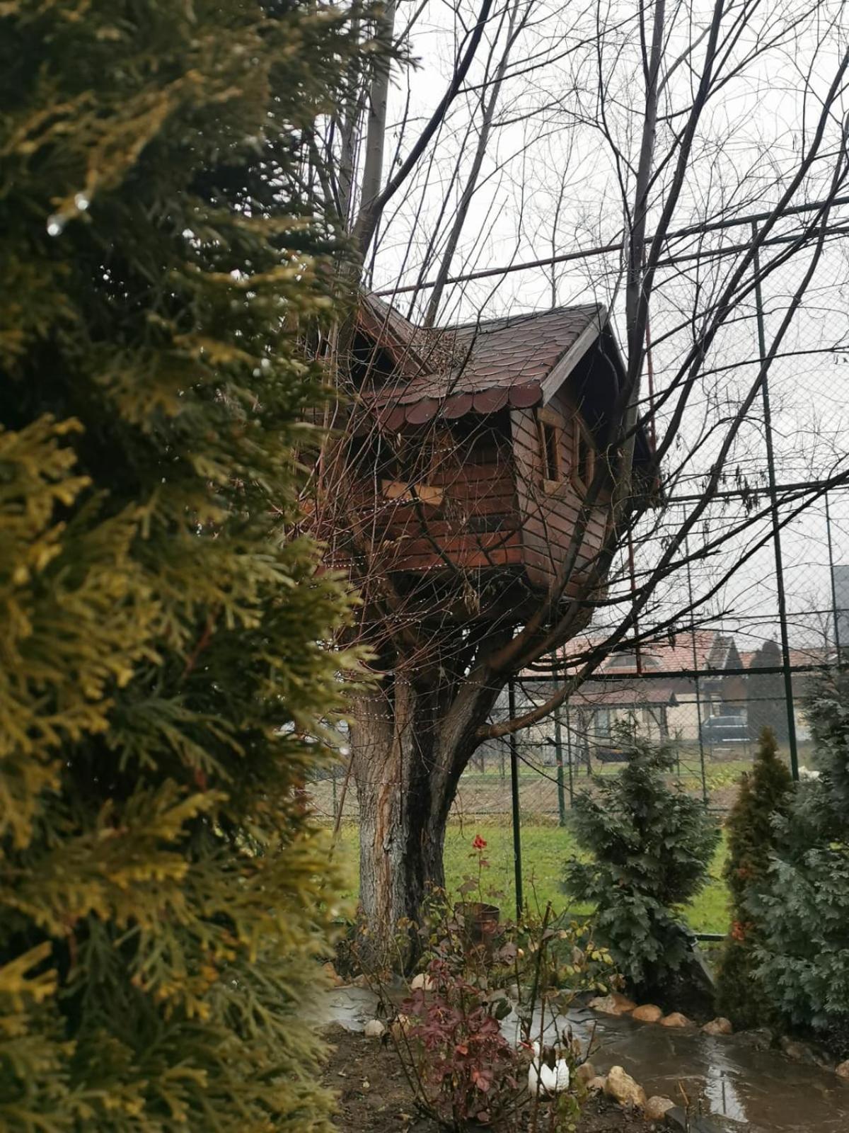 Doftana Apartaments Teşila Kamer foto