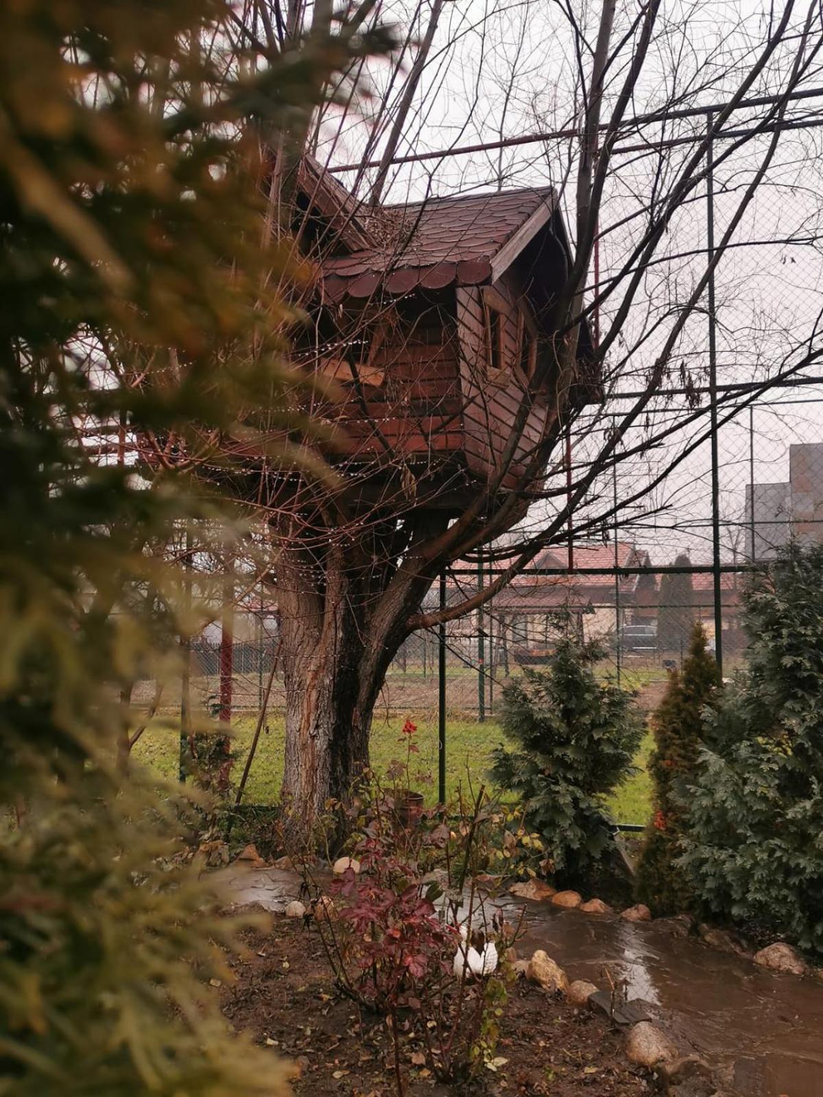 Doftana Apartaments Teşila Kamer foto