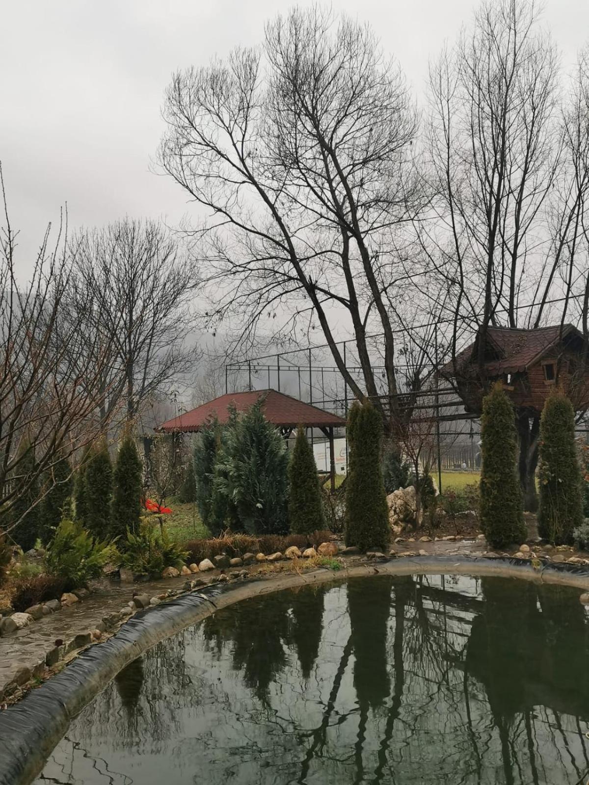 Doftana Apartaments Teşila Kamer foto